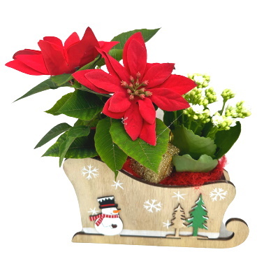 NOEL/Traineau Bois Noel 2P (2)