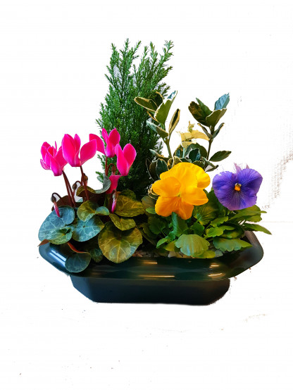 PL33 - Plateau 4 plantes