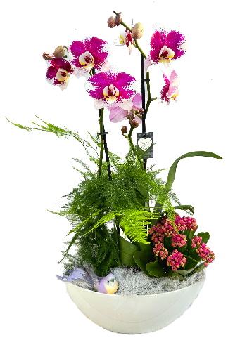 PHAL/PVC blanc 4P (2)
