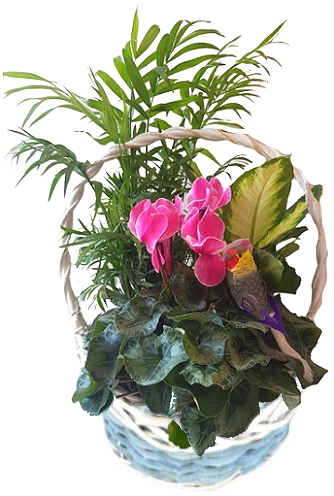 PANIER/P103  3P (1)