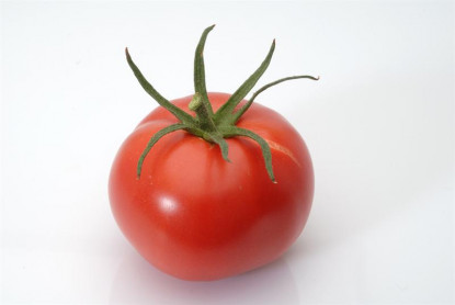 Tomate Rose de berne greffé Tuteur + clip