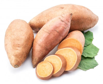 IPOMEE Patate Douce BEAUREGARD