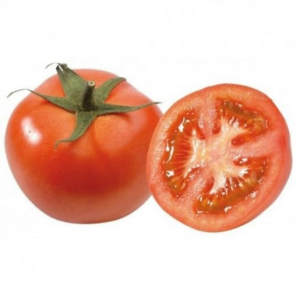 Tomate Pyros /POT Biodégradable