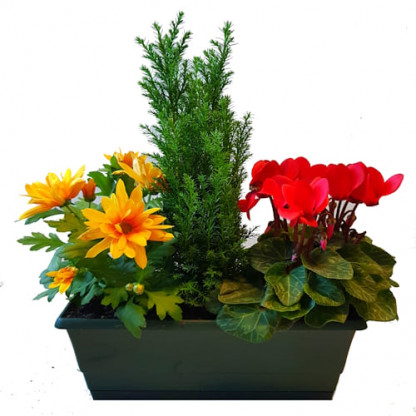 EXT/J3PL - Jardinière 25 cm 3P