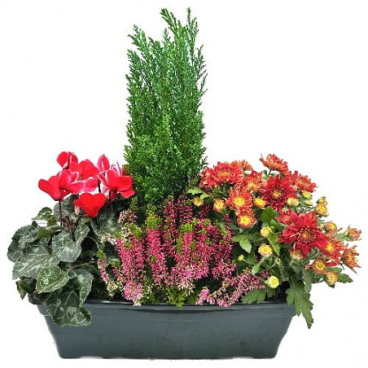 EXT/J4PL-Jardinière 40 cm 4P