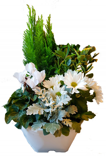EXT/EXB27/Cpe blanche 5P
