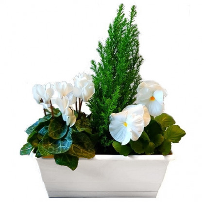 EXT/J3PLB/Jardi25cm Blanche 3P