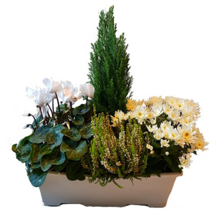EXT/J4PLB - Jardi40cm Blanche 4P