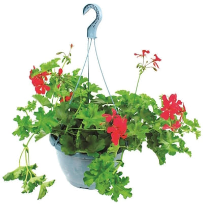 Suspension Lierre Simple D27