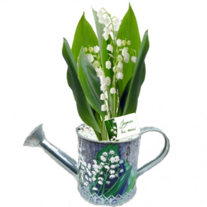 MUG/Arrosoir muguet 3G (2)