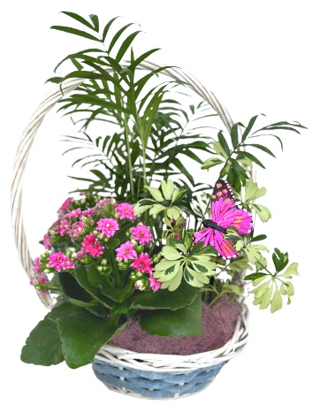 PANIER/P102  3P (1)