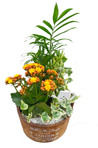 BOIS/S3P Au petit Jardin 3P (2)