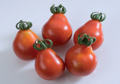 Tomate Red Pear