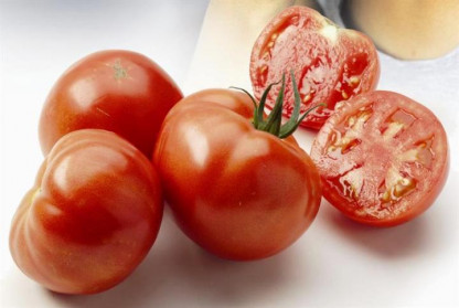 Tomate Maestria