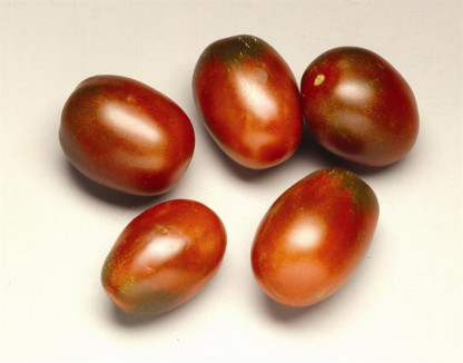 Tomate Prune Noire