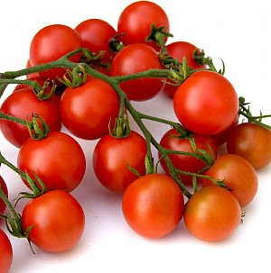 Tomate Sweet Baby