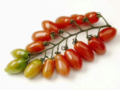 Tomate Trilly Mini